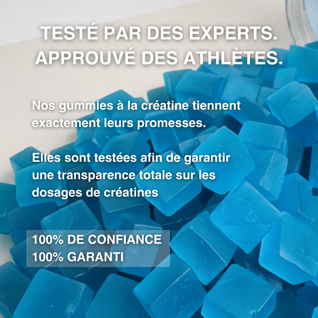 Gummies de Créatine - Myrtille