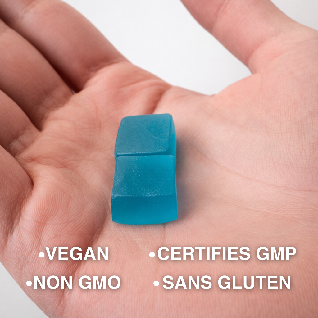 Gummies de Créatine - Myrtille